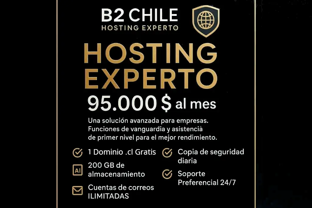 Hosting Experto