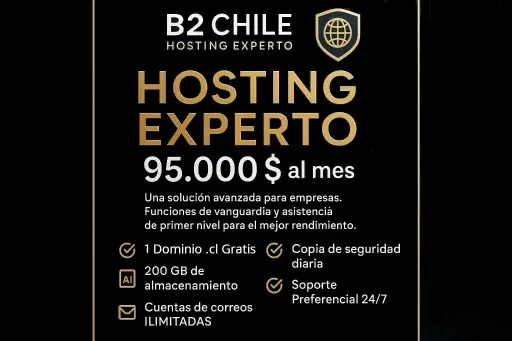 Hosting Experto